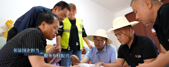 图片1(1).png 图片1(1).png